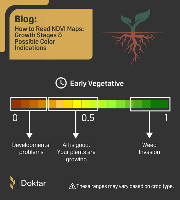 Ndvi Blog 720X800