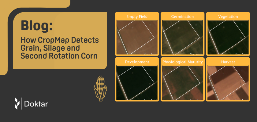 How CropMap Detects Grain, Silage and Second-Corn 
