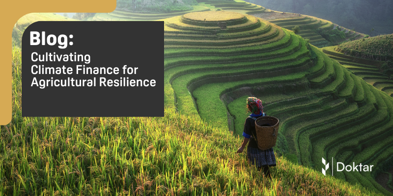 Cultivating Climate Finance for Agricultural Resilience