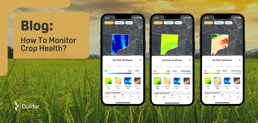 How to Monitor Crop Health?