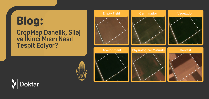 CropMap Danelik, Silaj ve İkinci Mısırı Nasıl Tespit Ediyor? 