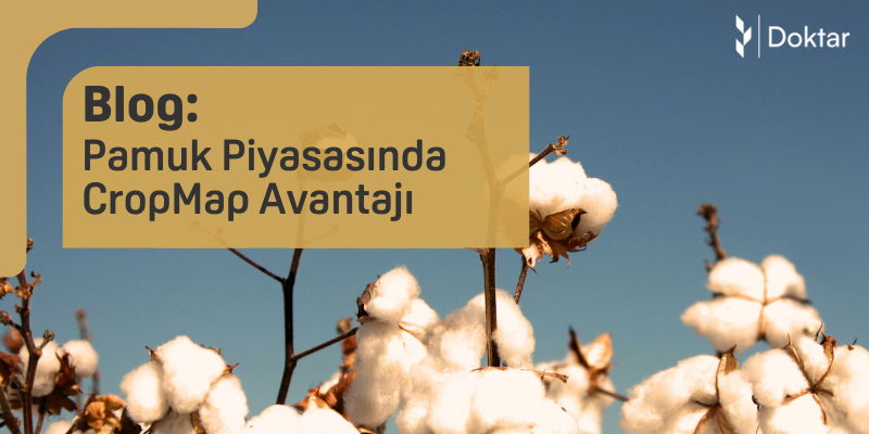 Pamuk Piyasasında CropMap Avantajı