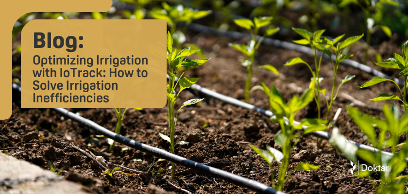 Optimizing Irrigation with IoTrack: How to Solve Irrigation Inefficiencies 