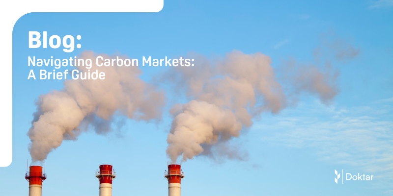 Navigating Carbon Markets:  A Brief Guide